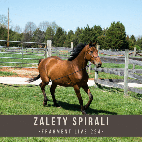 zalety_spirali