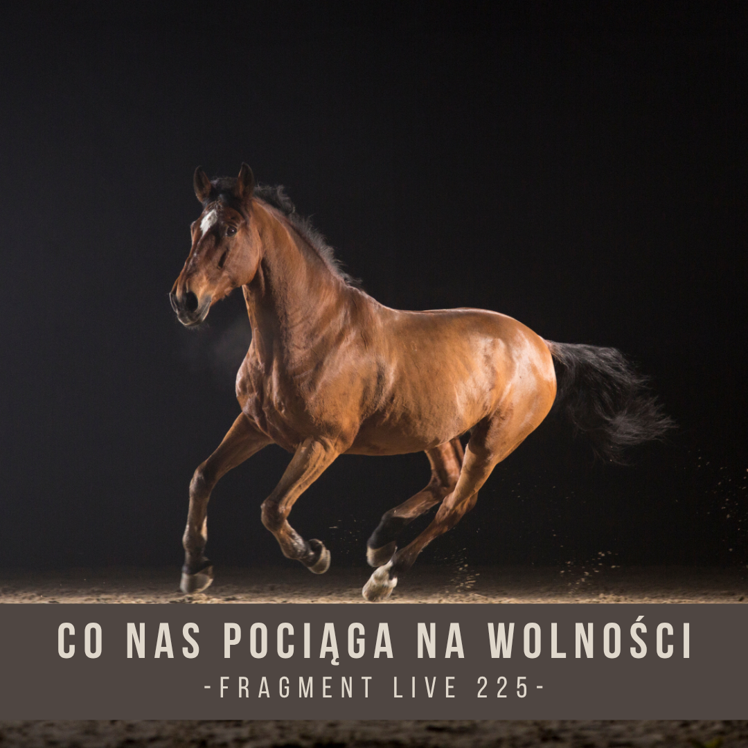 co_nas_pociaga_na_wolnosci