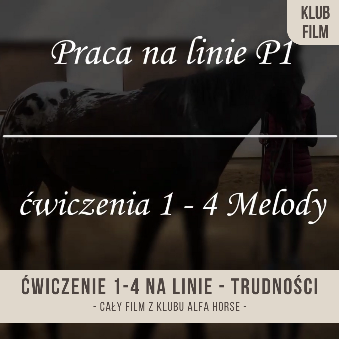 cwiczenia_1_4_praca_na_linie_alfa_horse_mlody_kon_szkolenie_