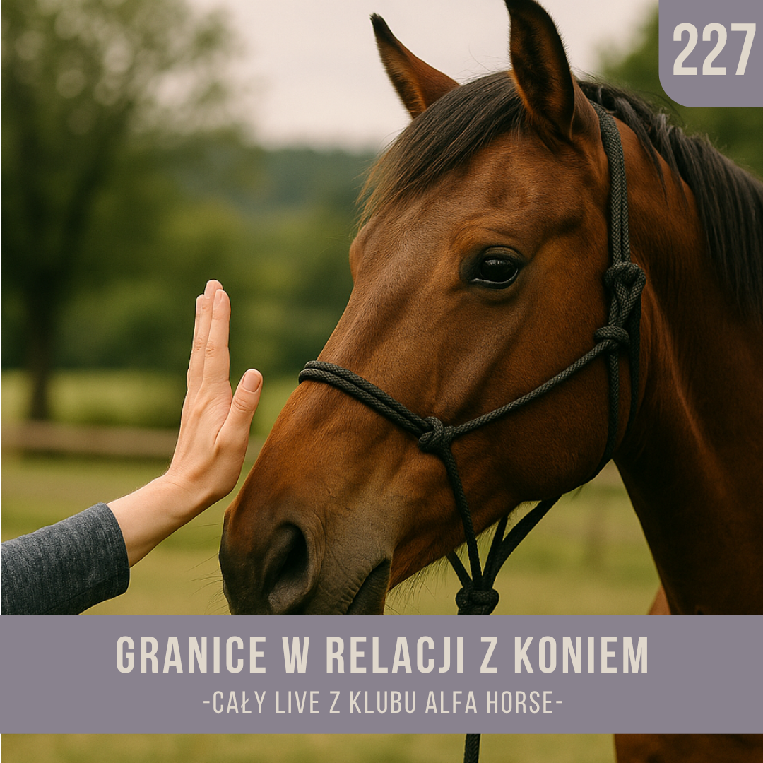 granice_w_relacji_z_koniem