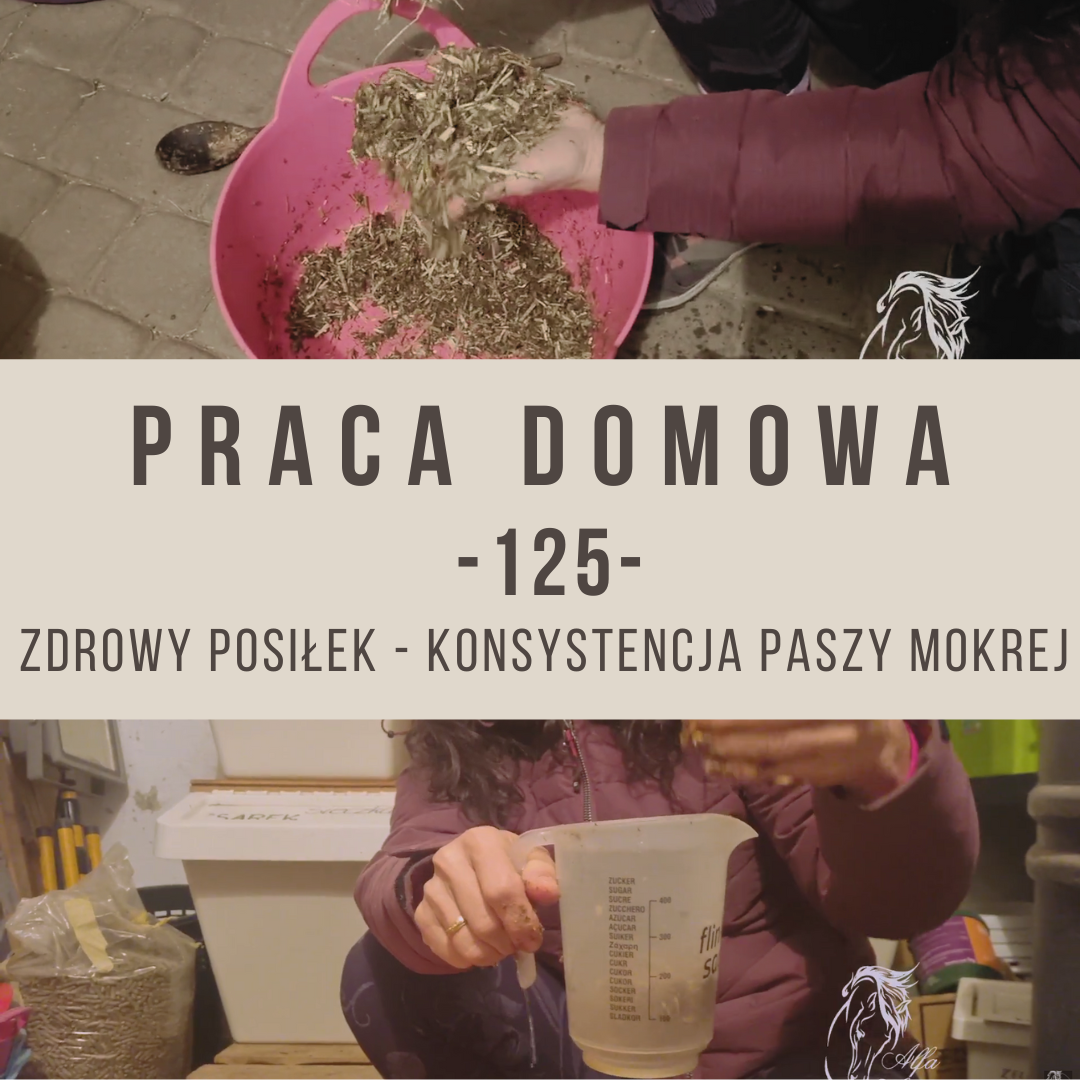 praca_domowa_125_konsystencja_paszy_mokrej_zdrowy_posilek