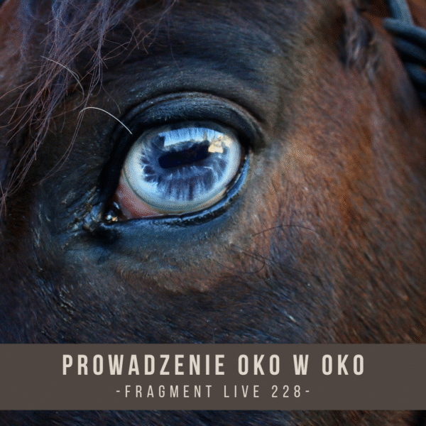 prowadzenie_oko_w_oko