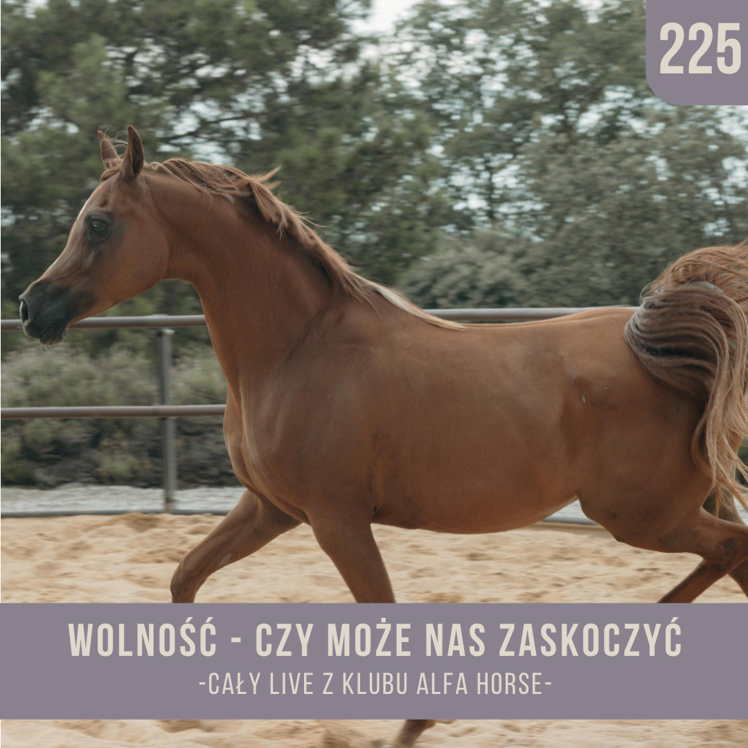 wolnosc_czy_moze_nas_zaskoczyc