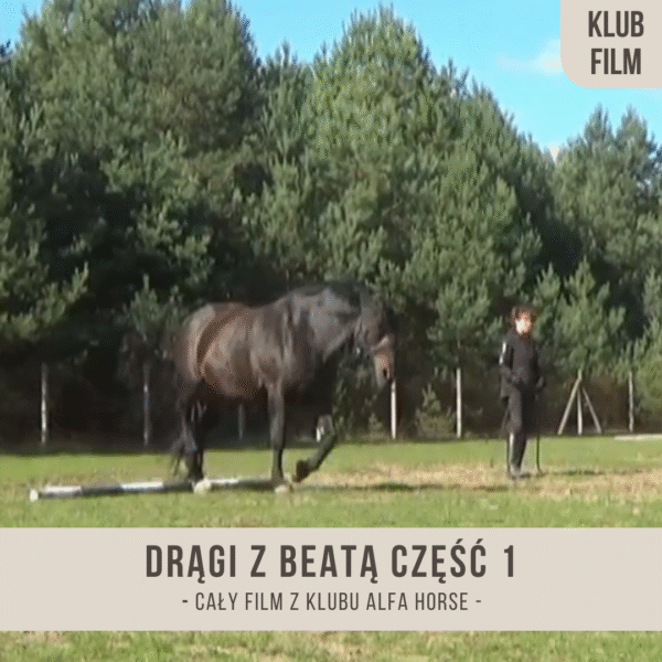 dragi_z_beata_czesc_1