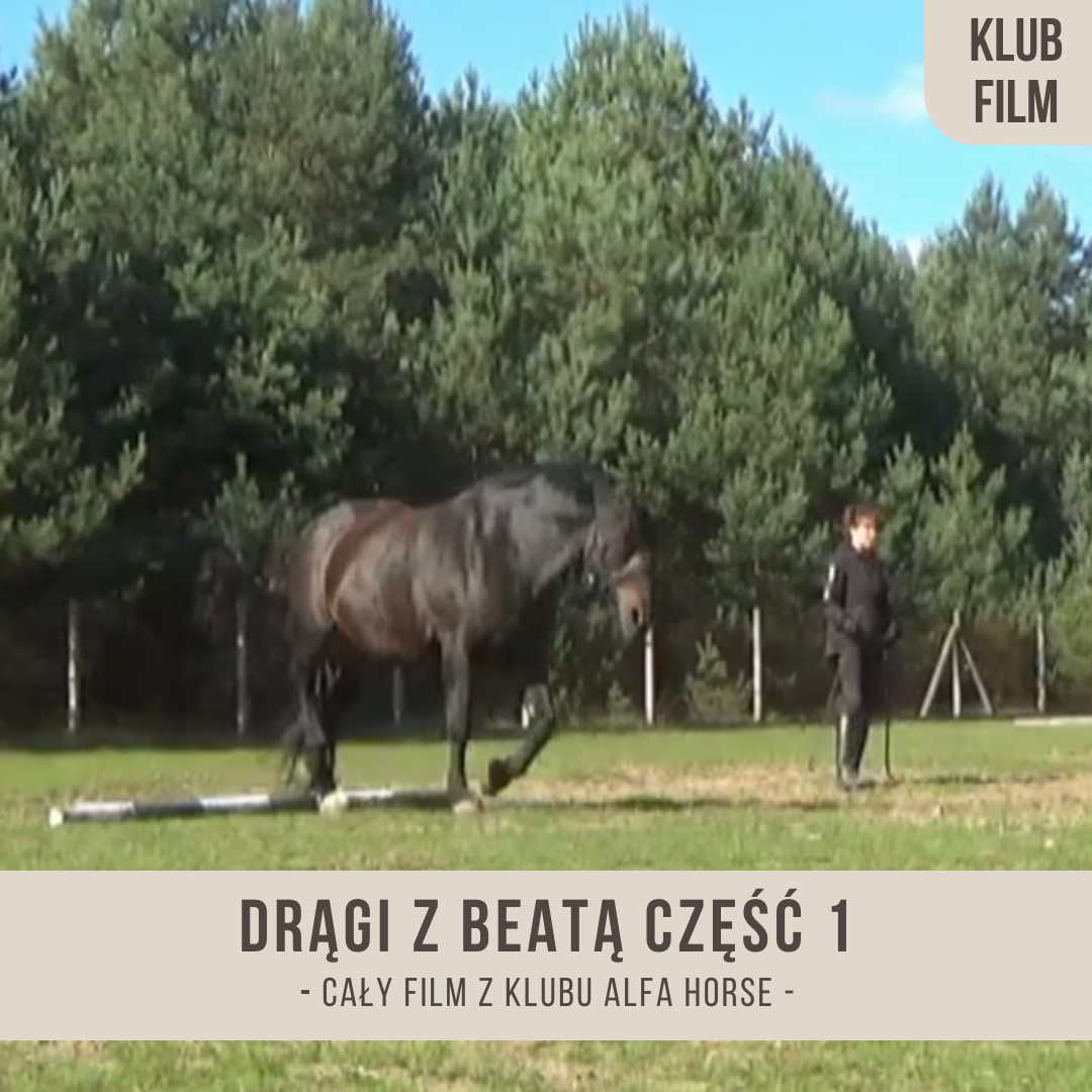 dragi_z_beata_czesc_1