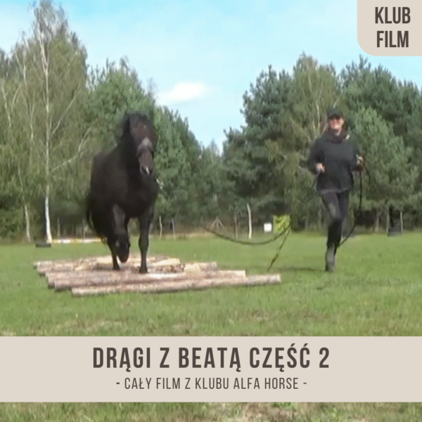 dragi_z_beata_czesc_2