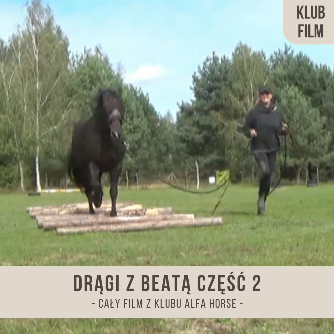 dragi_z_beata_czesc_2