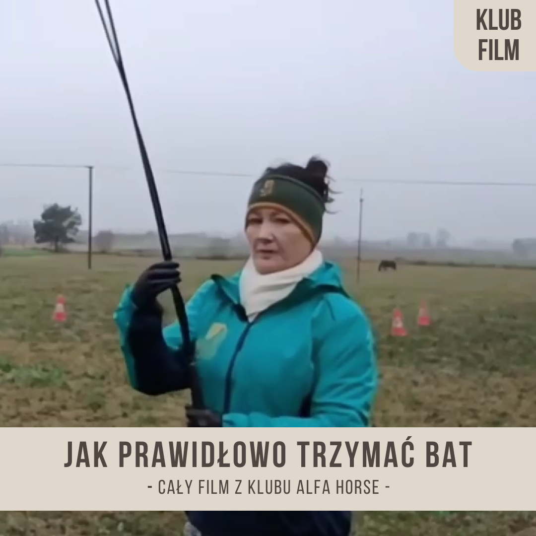 jak_prawidłowo_trzymac_bat_alfa_horse