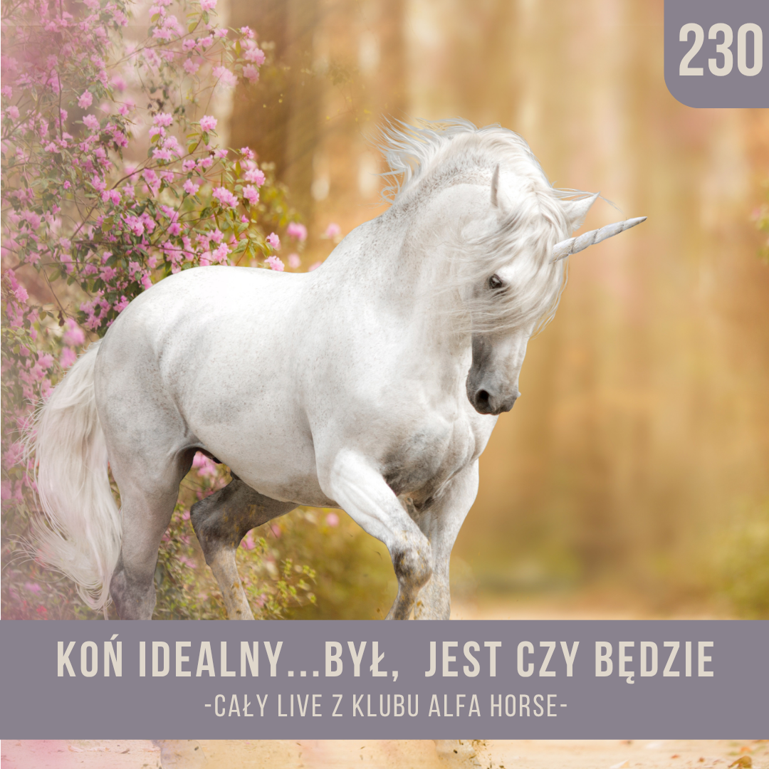 kon_idealny_byl_jest_czy_bedzie