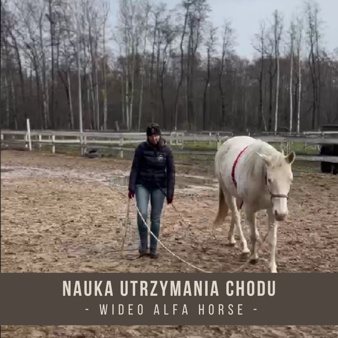 nauka_utrzymania_chodu