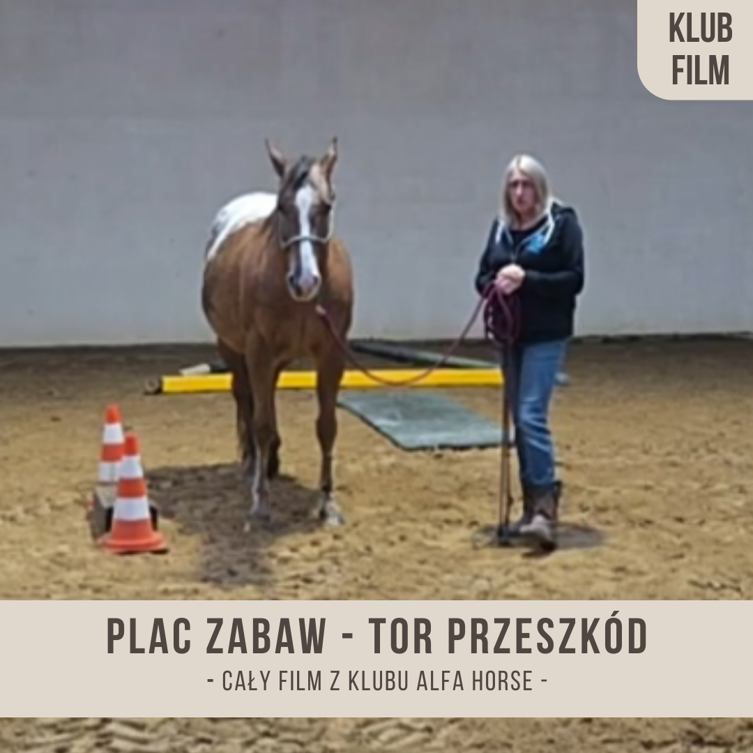 plac_zabaw_tor_przeszkod