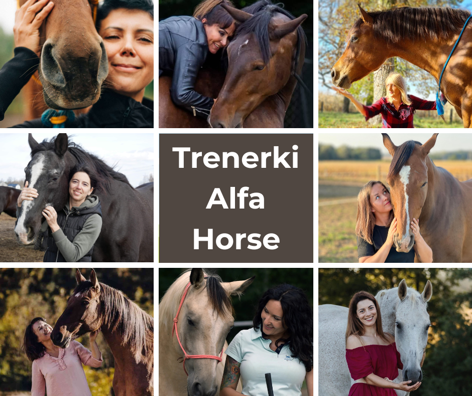 trenerki_alfa_horse
