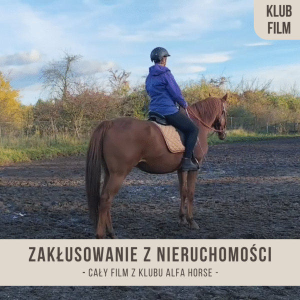 zaklusowanie_z_nieruchomosci