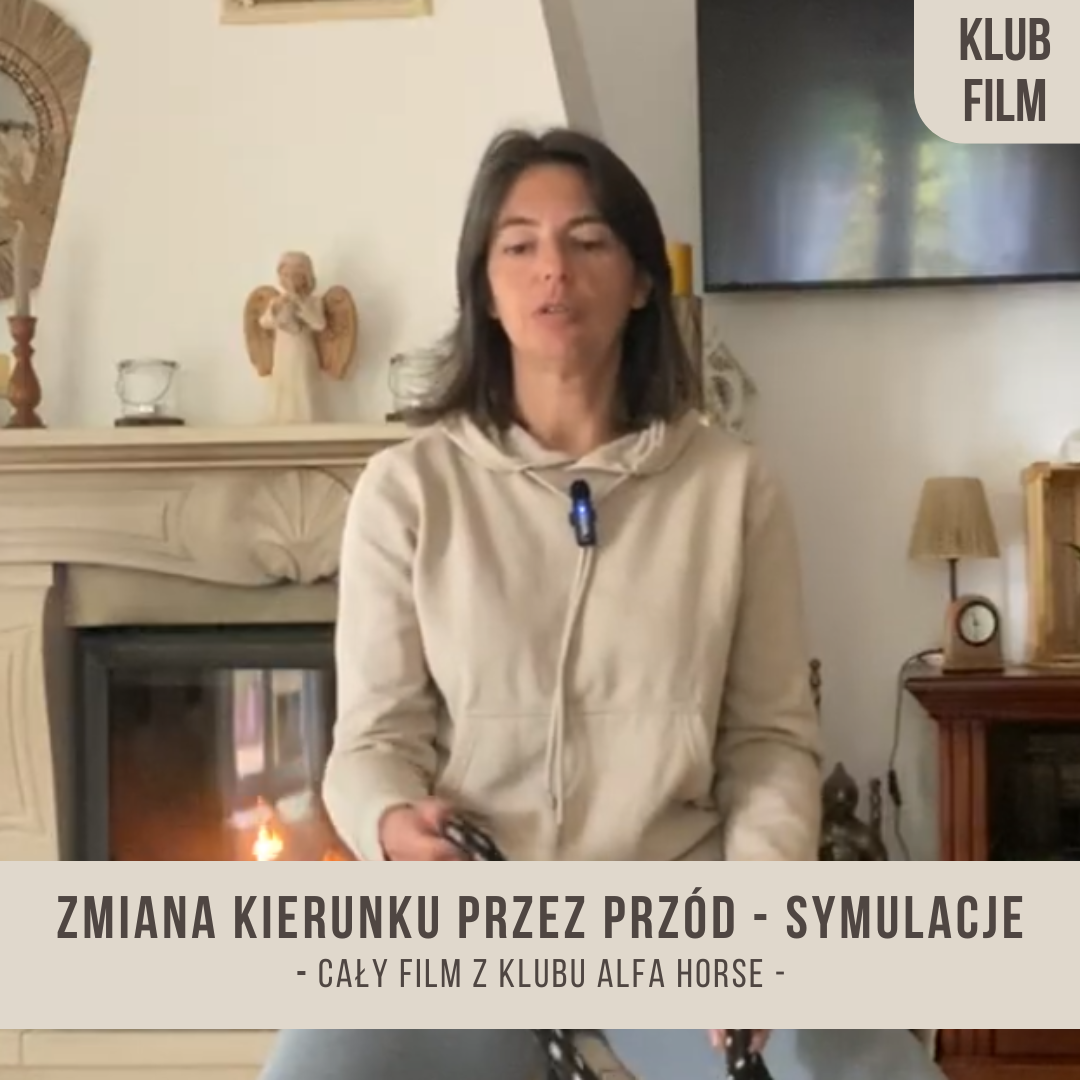 zmiana_kierunku_przez_przod_symulacje