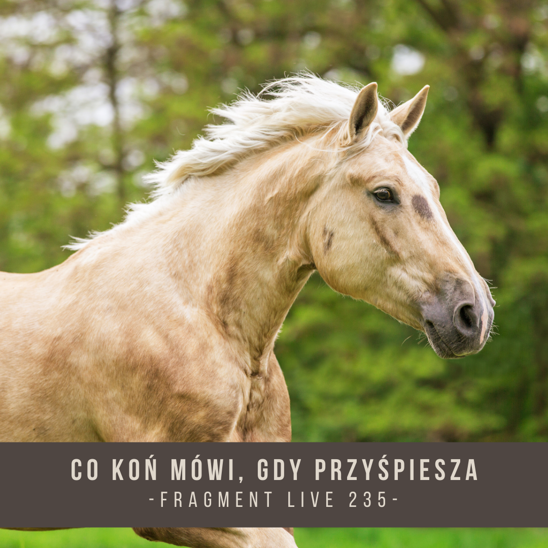 co_kon_mowi_gdy_przyspiesza