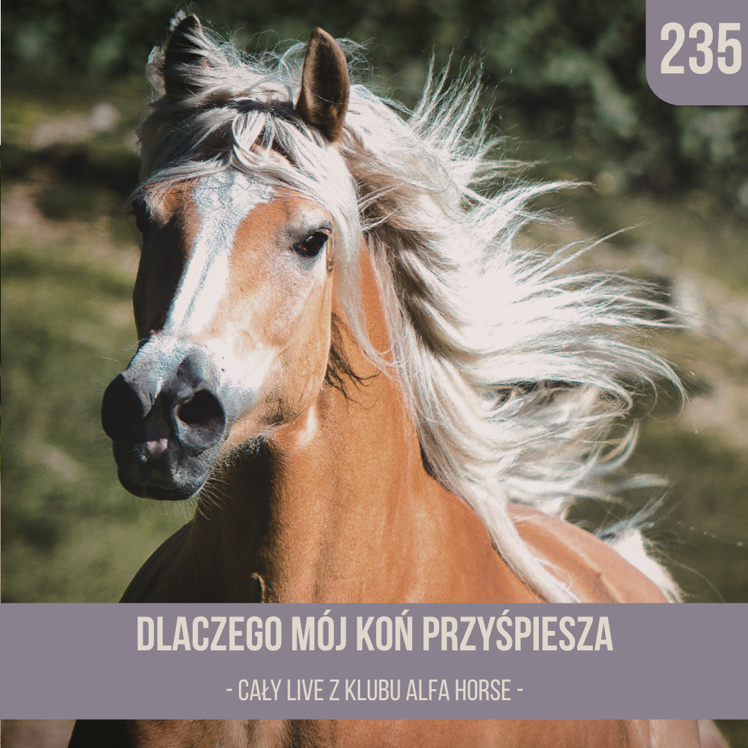 dlaczego_moj_kon_przyspiesza