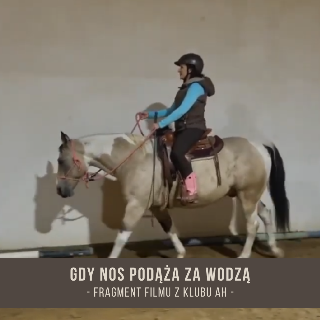 gdy_nos_podaza_za_wodza