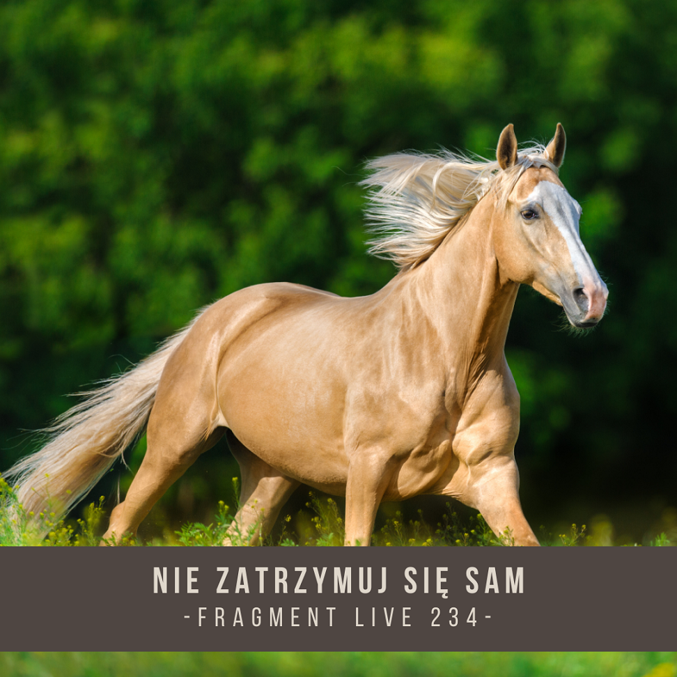 nie_zatrzymuj_sie_sam