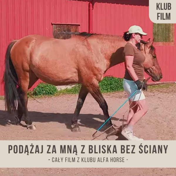 podazaj_za_mna_z_zbliska_bez_sciany_wolnosc_p3
