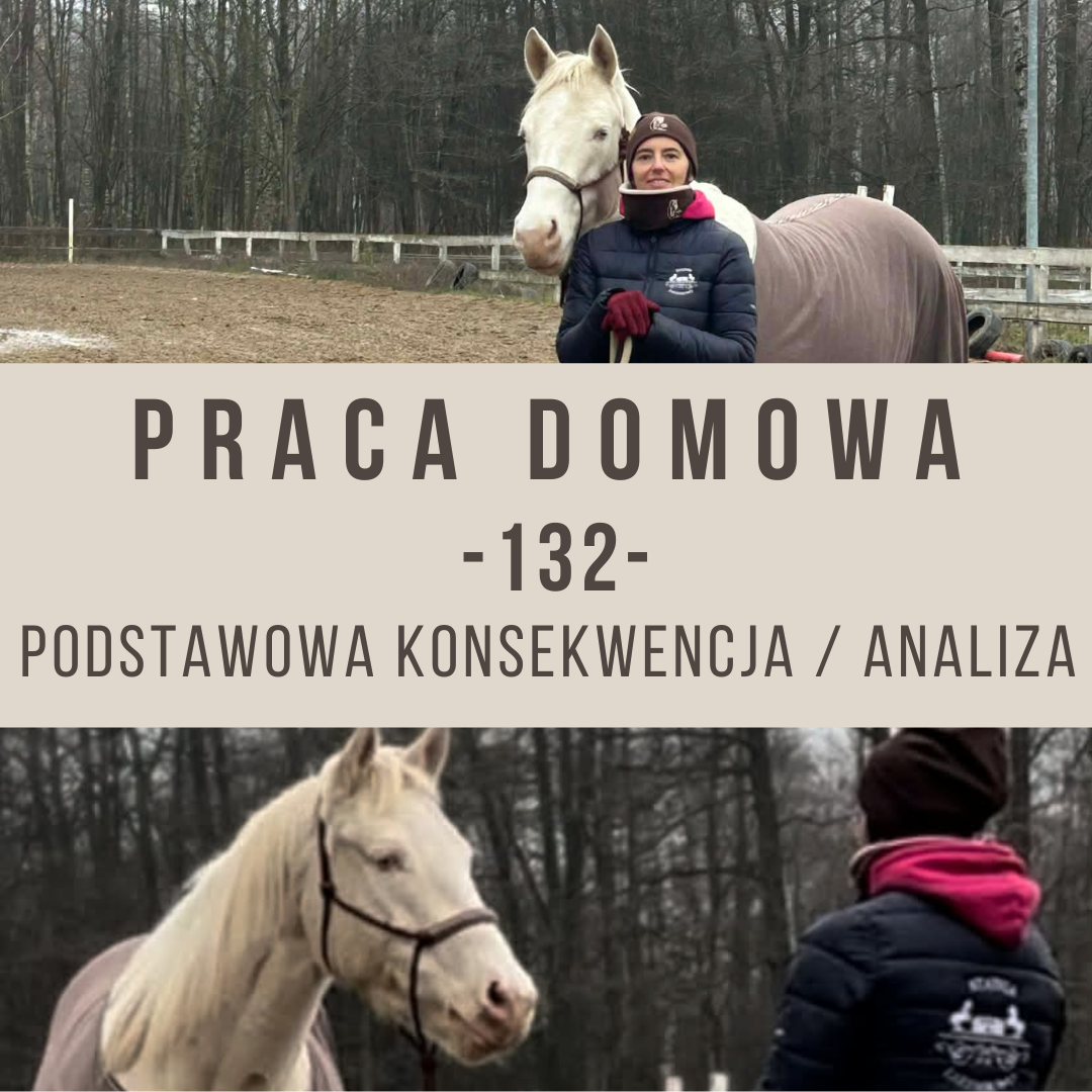 praca_domowa_132_podstawowa_konsekwencja_trening_koni