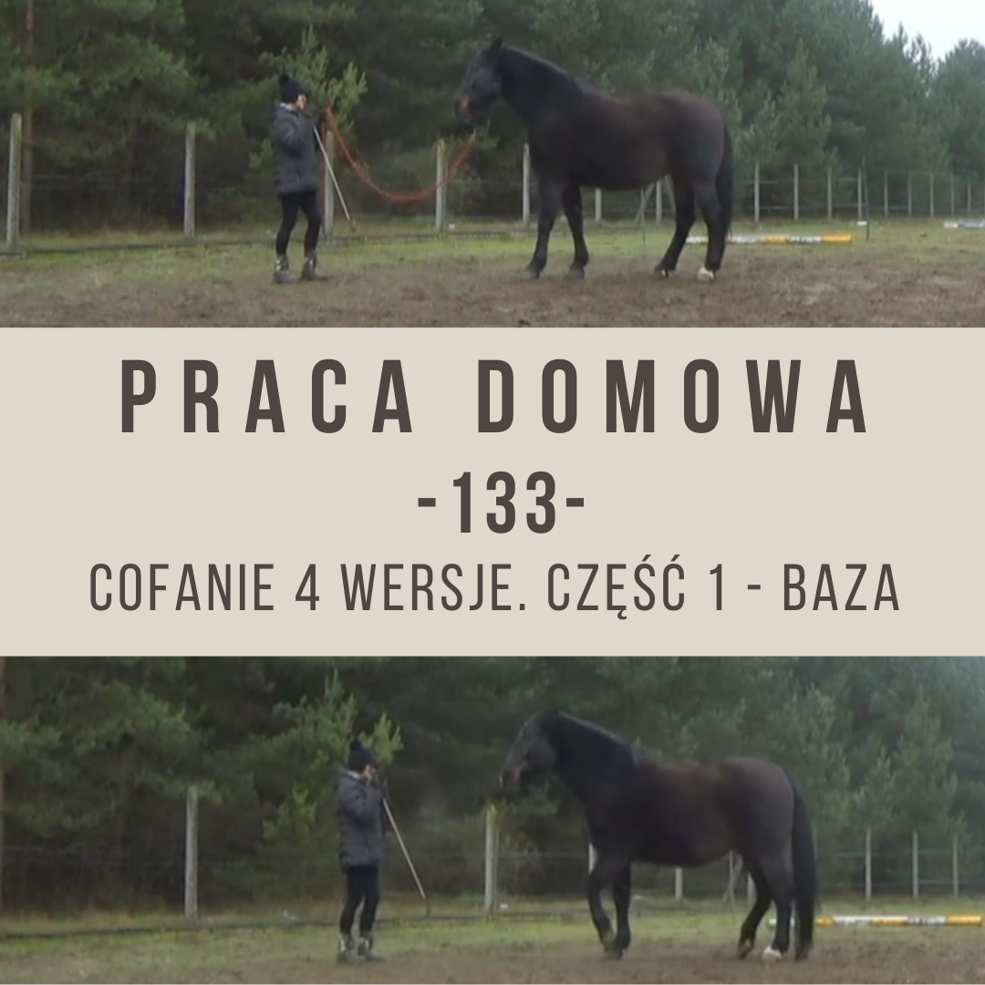 praca_domowa_133_cofanie_4_wersje_baza