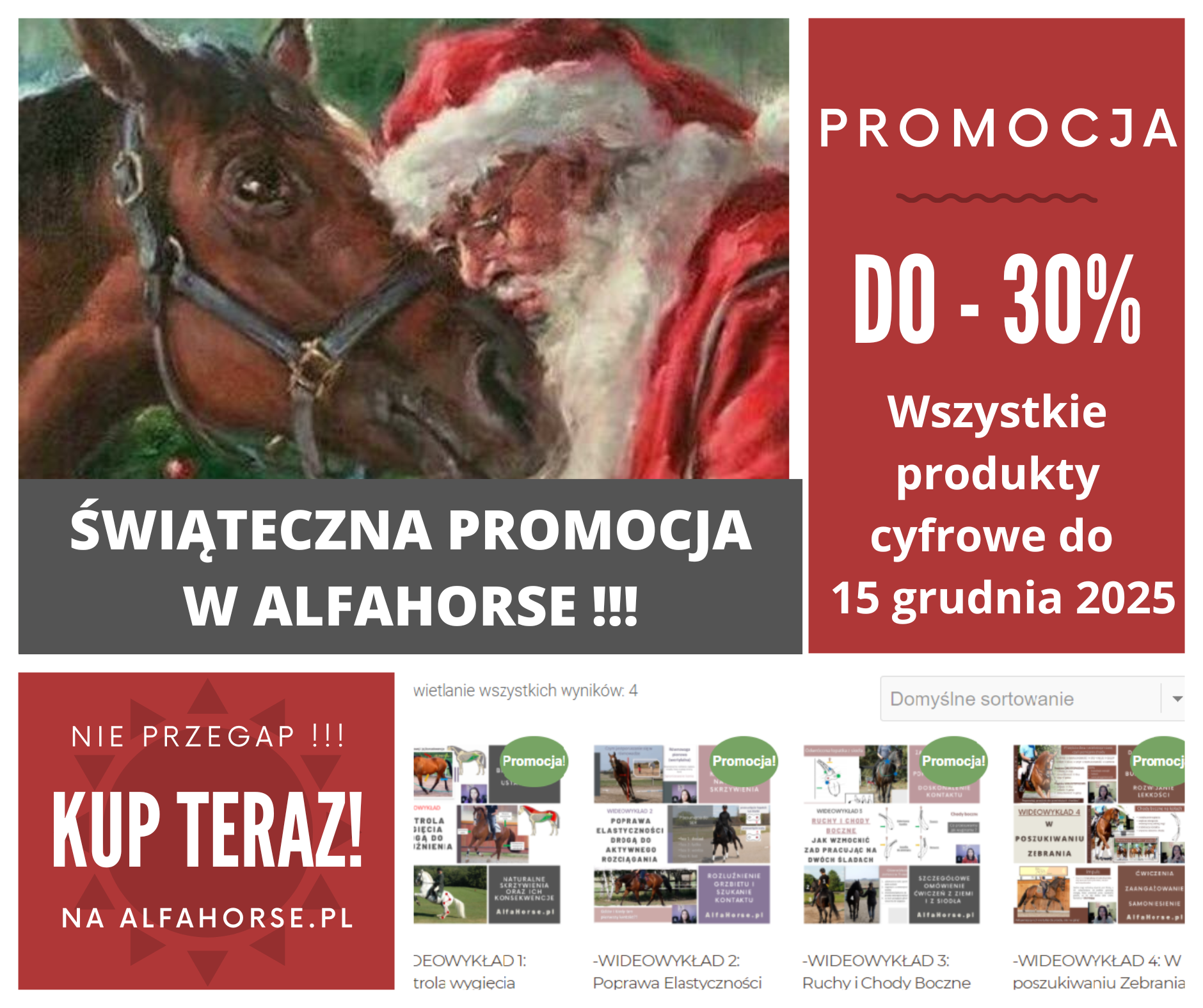 promocja_swiateczna_2025_1