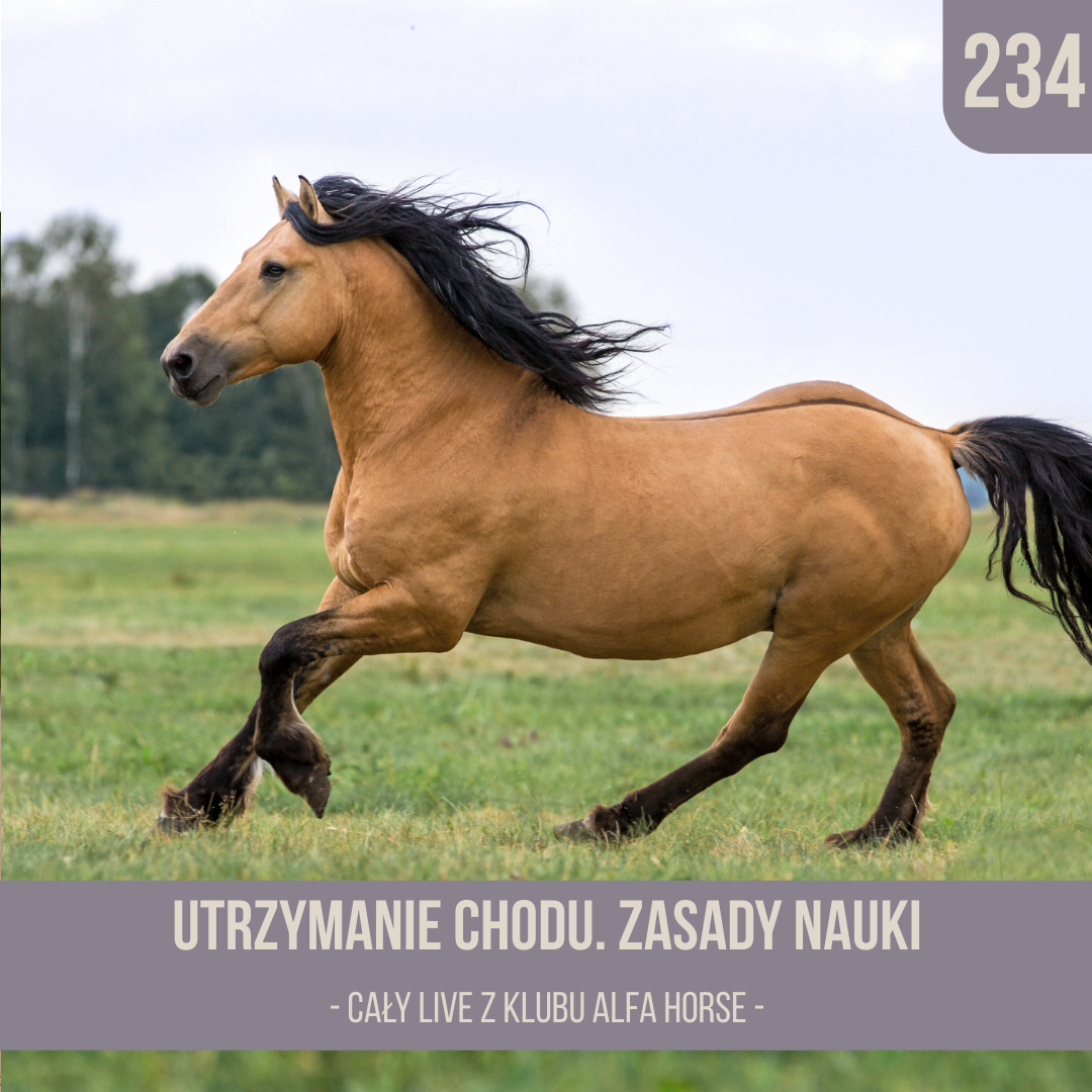 utrzymanie_chodu_zasady_nauki