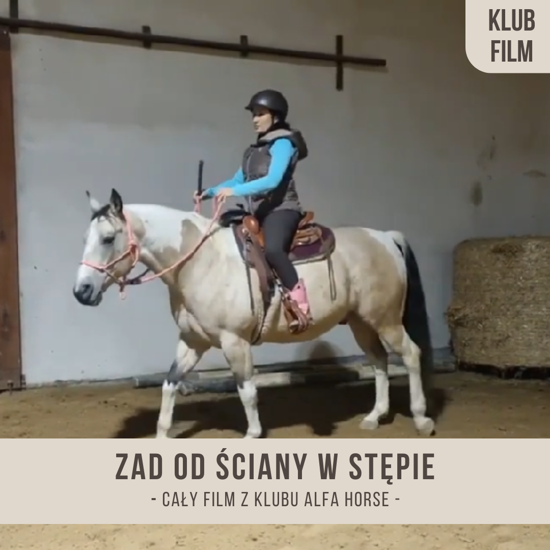 zad_od_sciany_w_stepie