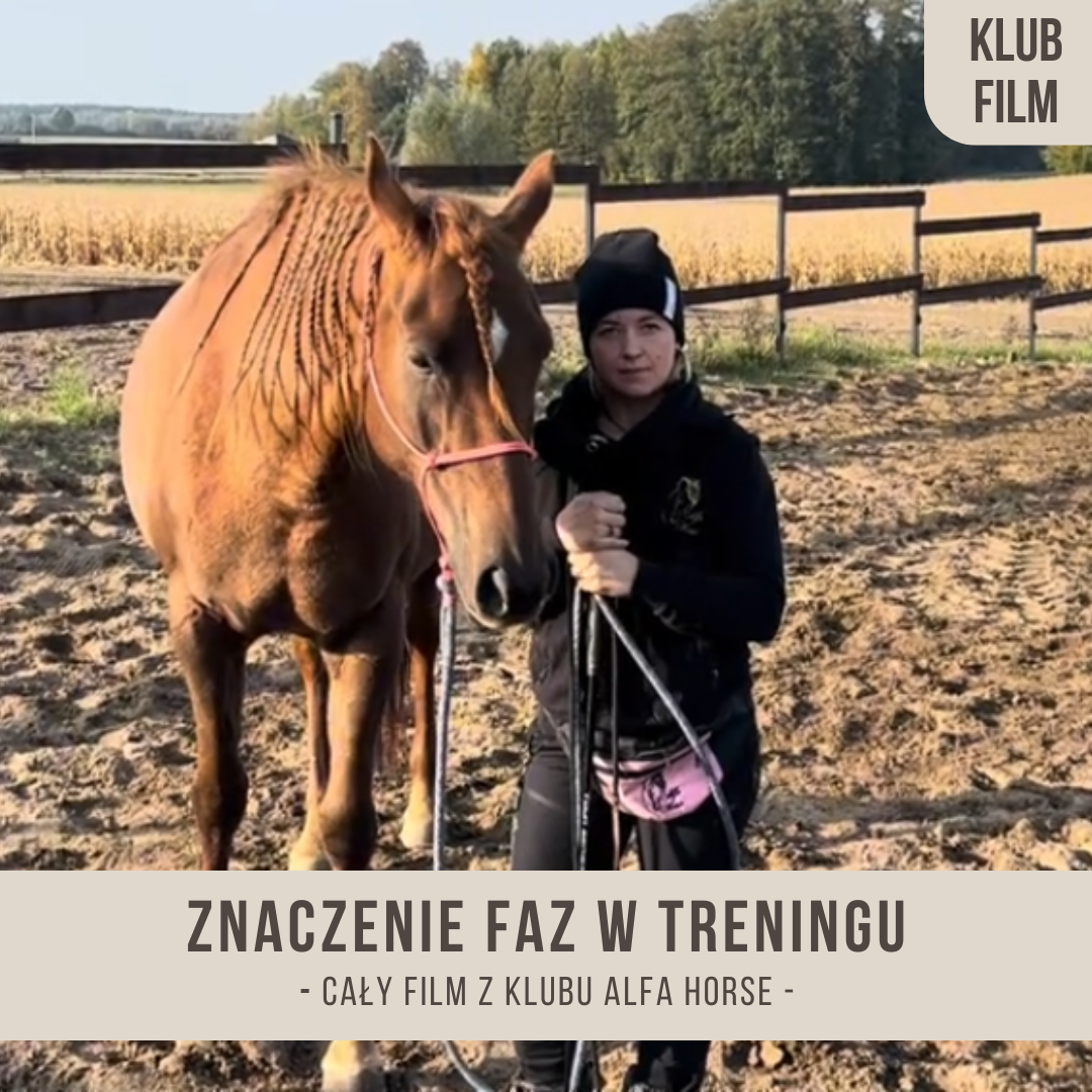 znaczenie_faz_w_treningu
