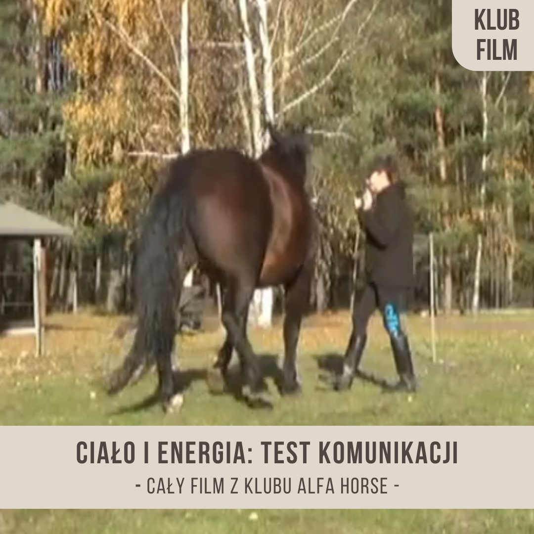 cialo_i_energia_test_komunikacji