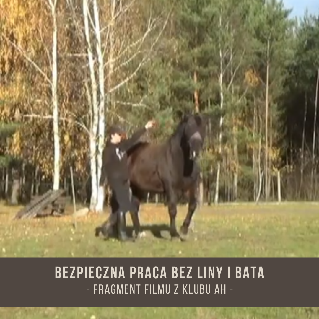 bezpieczna_praca_bez_liny_i_bata