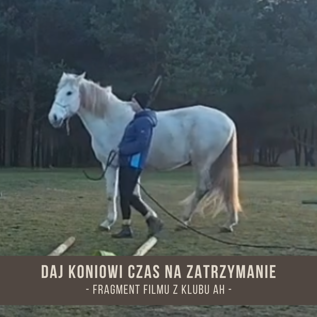 daj_koniowi_czas_na_zatrzymanie