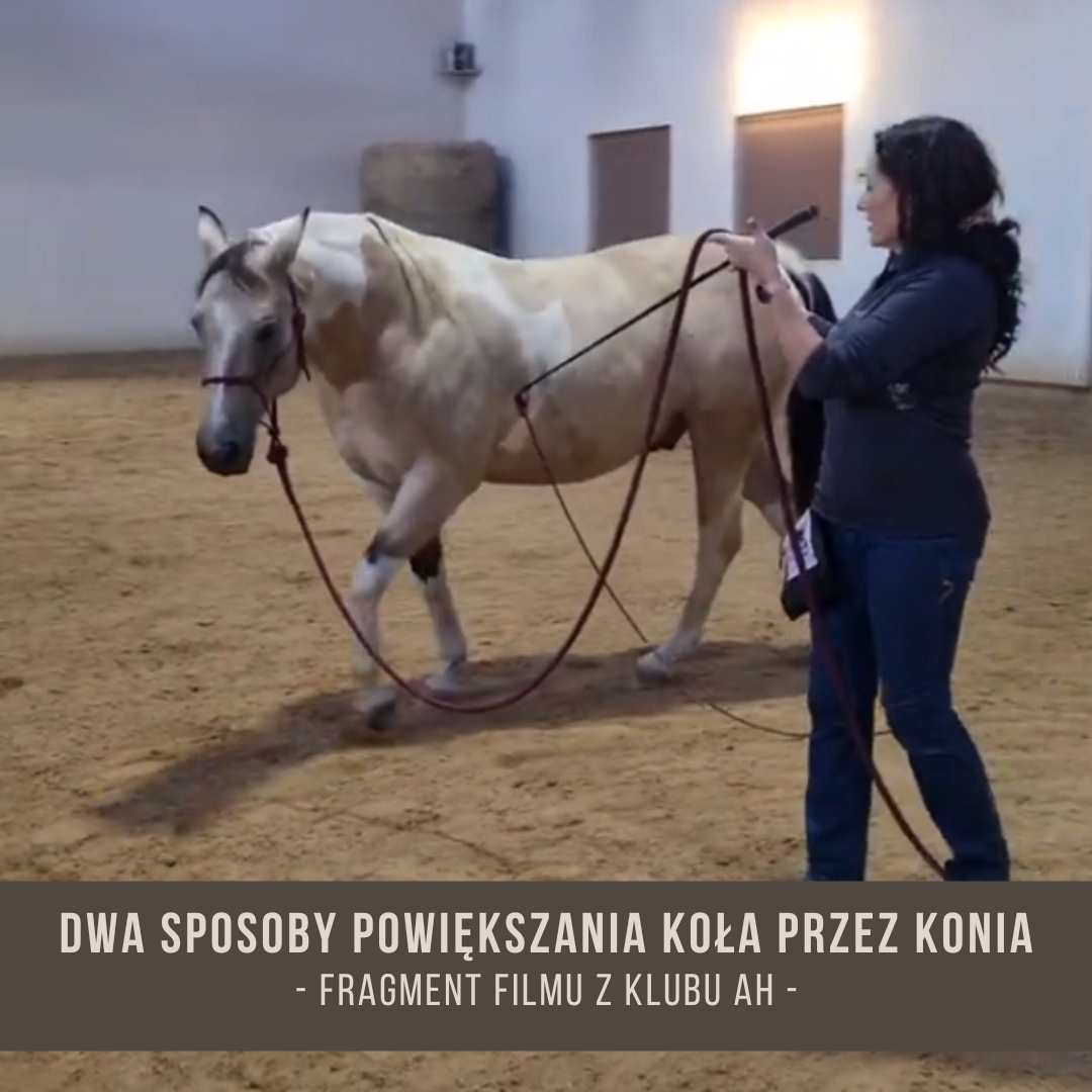 dwa_sposoby_powiekszanie_kola_przez_konia