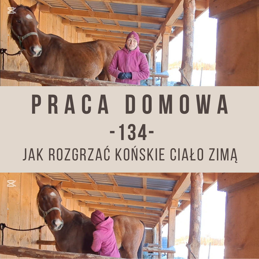 praca_domowa_134_jak_rozgrzac_konskie_cialo_zima_alfa_horse_ilona_gajewska