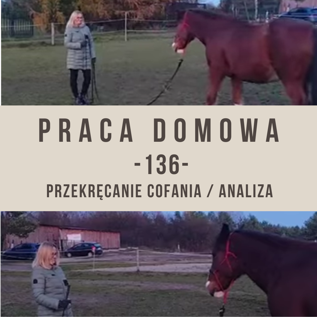 praca_domowa_136_przekrecanie_cofania_analiza