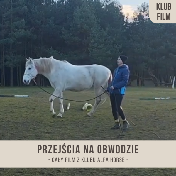 przejscia_na_obwodzie