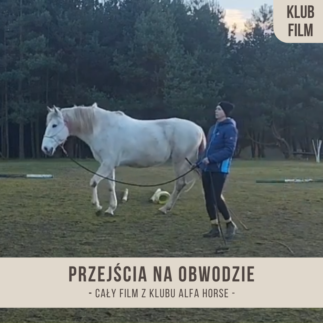 przejscia_na_obwodzie