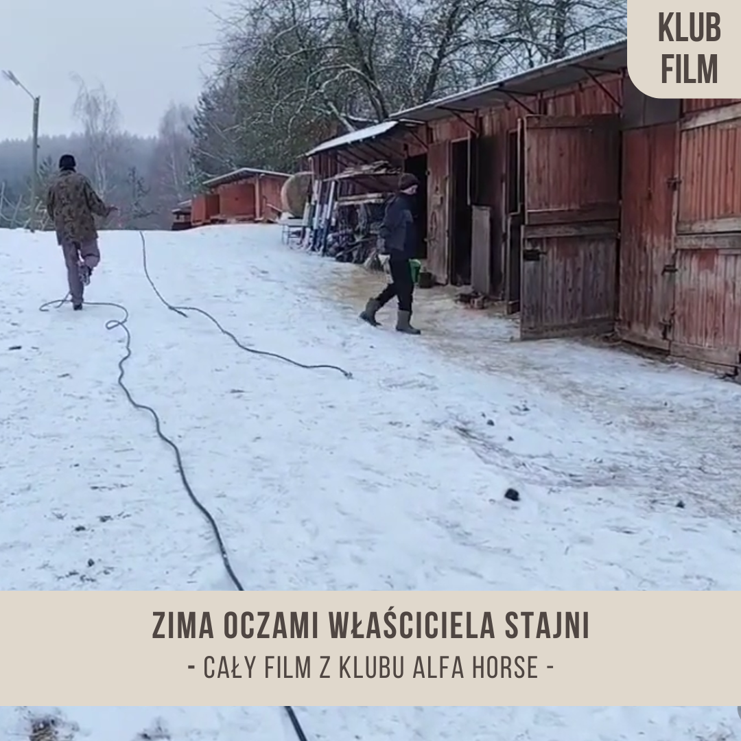 zima_oczami_wlasciciela_stajni_alfa_horse
