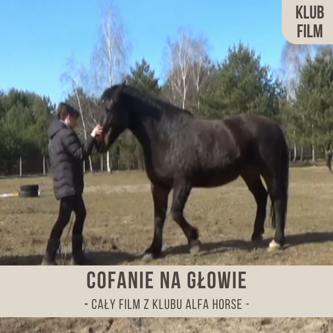 cofanie_na_glowie