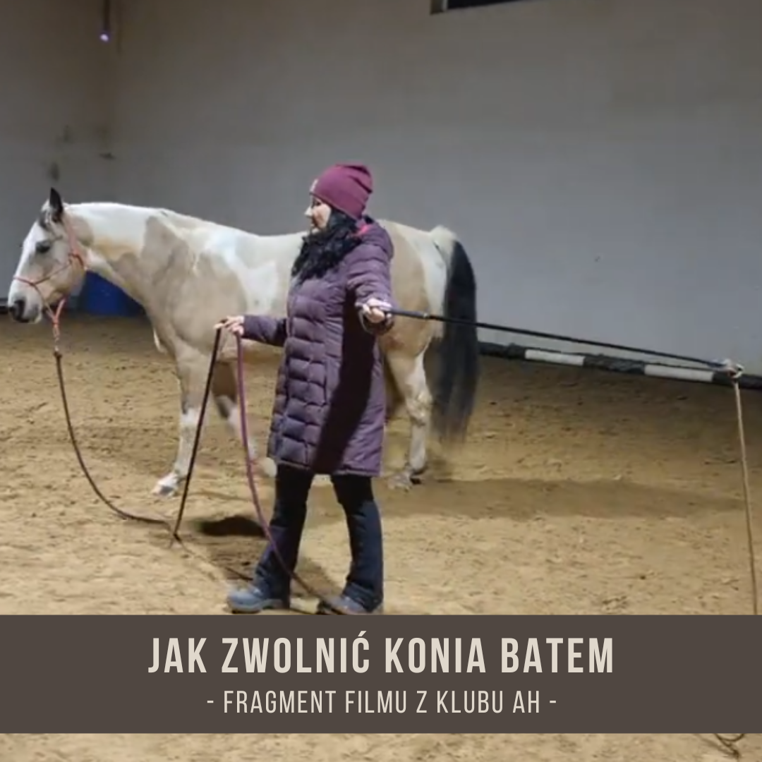 jak_zwolnic_konia_batem