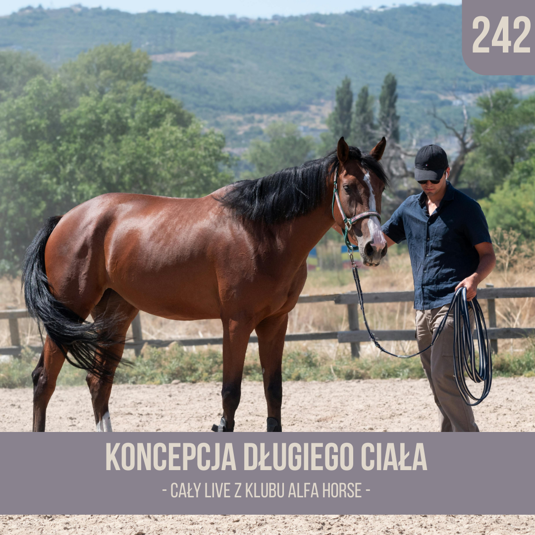 koncepcja_dlugiego_ciala