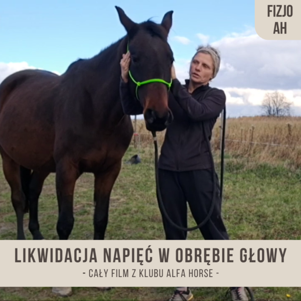 likwidacja_naipec_w_obrebie_glowy_FIZJO_AH