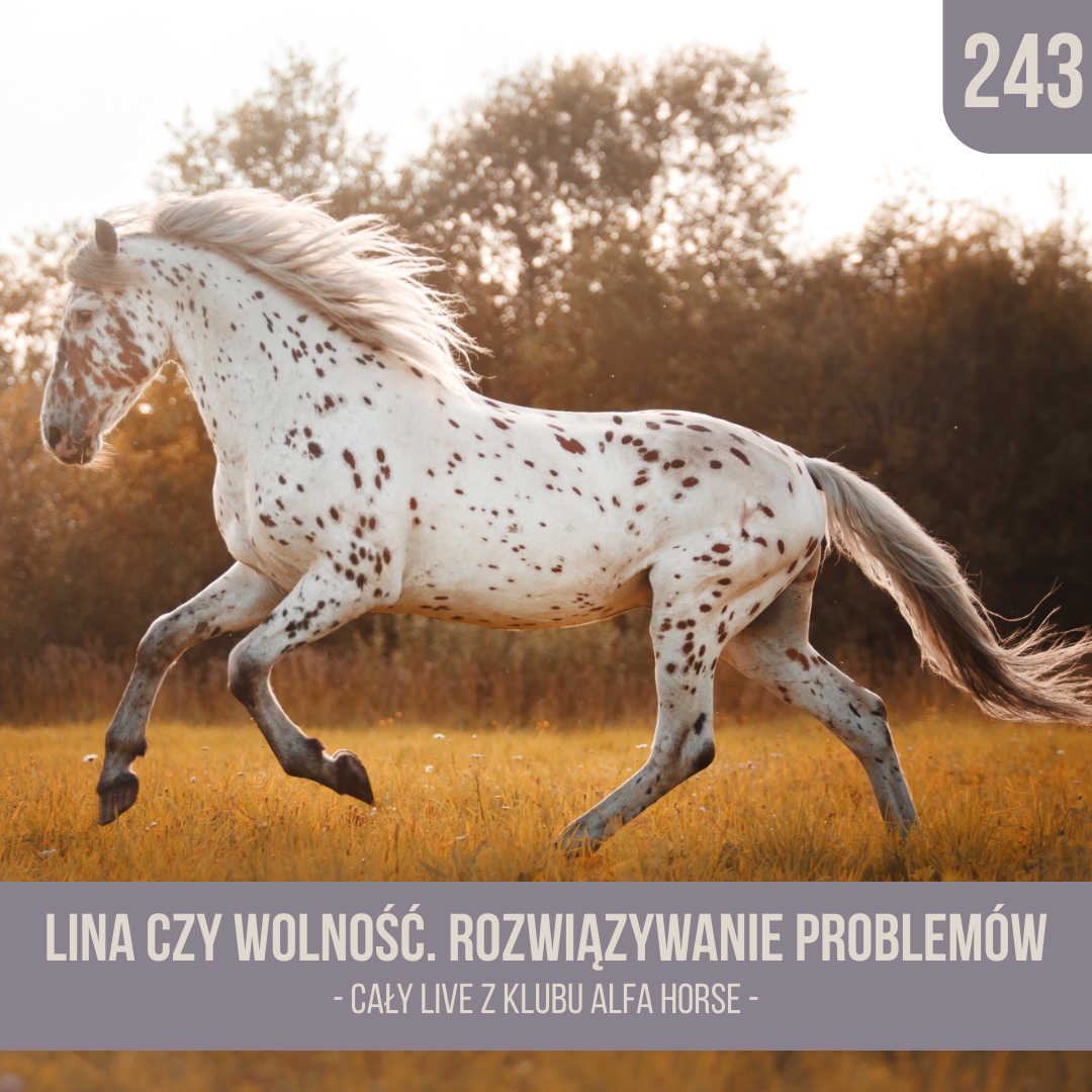 lina_czy_wolnosc_rozwiazywanie_problemow