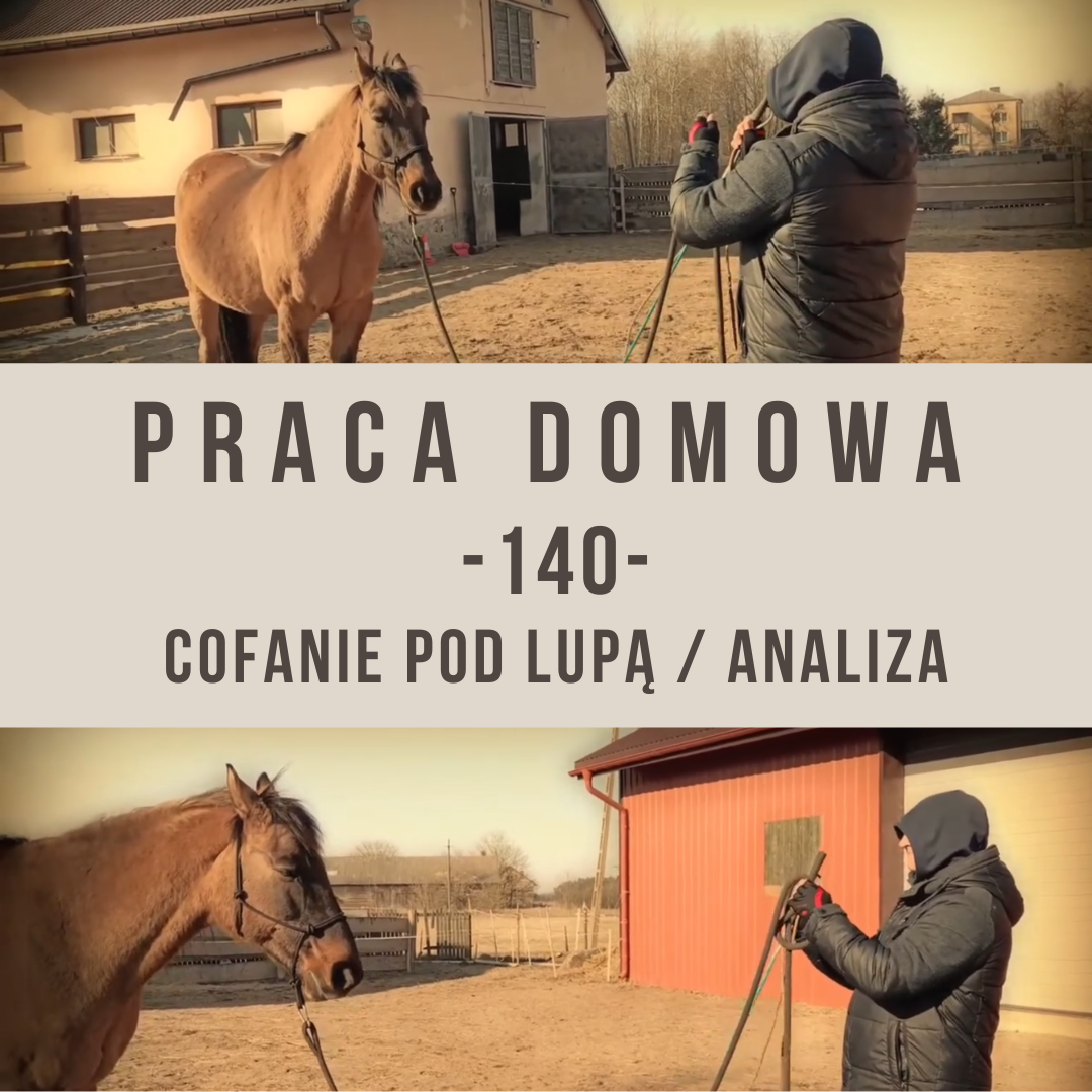 praca_domowa_140_cofanie_pod_lupa_katarzyna_agafonow_alfa_horse