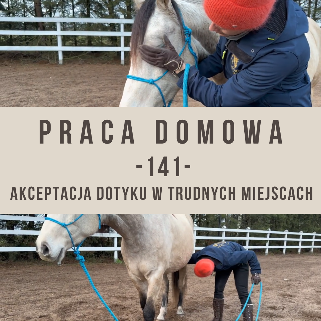 praca_domowa_141_akceptacja_dotyku_w_trudnych_miejscach