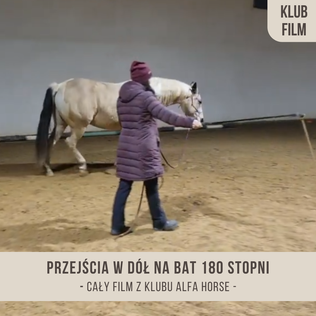 przejscia_w_dol_na_bat_180_stopni