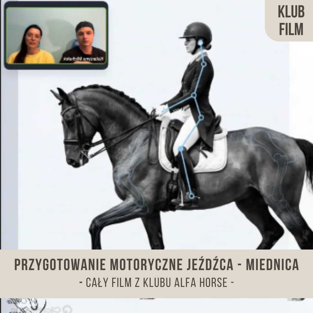 przygotowanie_motoryczne_jezdzca_miednica