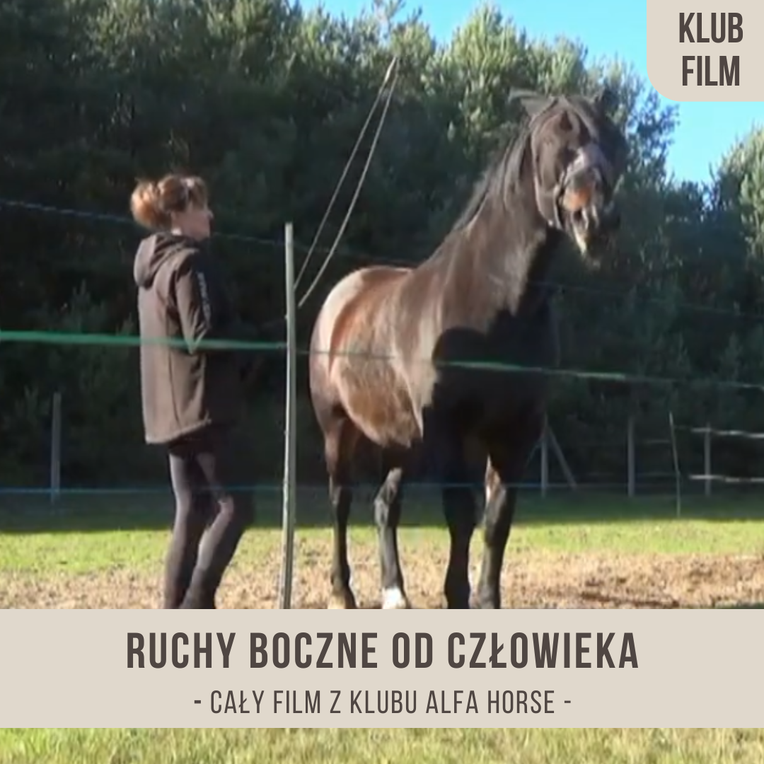 ruchy_boczne_od_czlowieka
