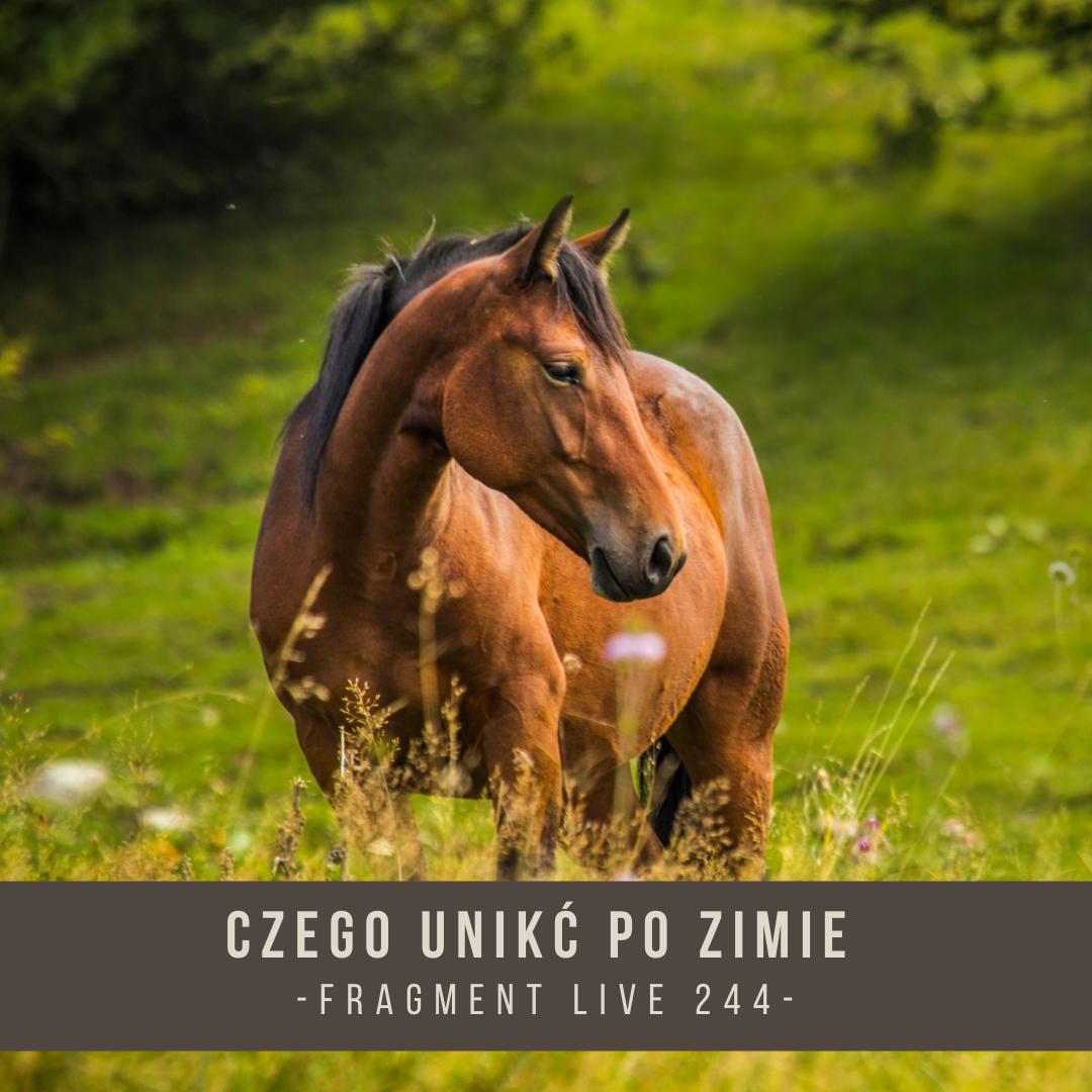 czego_unikac_po_zimie