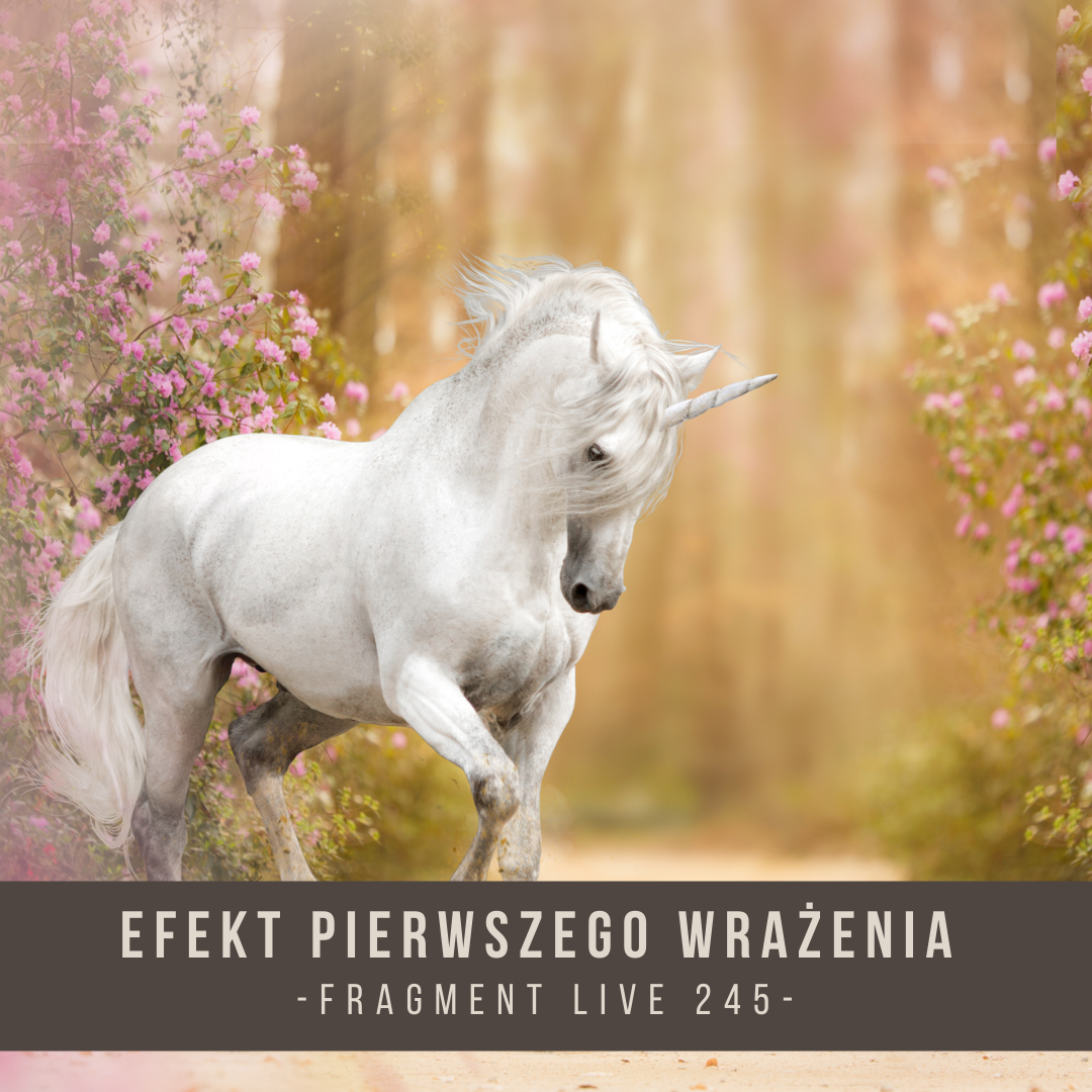 efekt_pierwszego_wrazenia